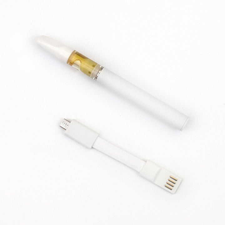 Full Ceramic Disposable pen