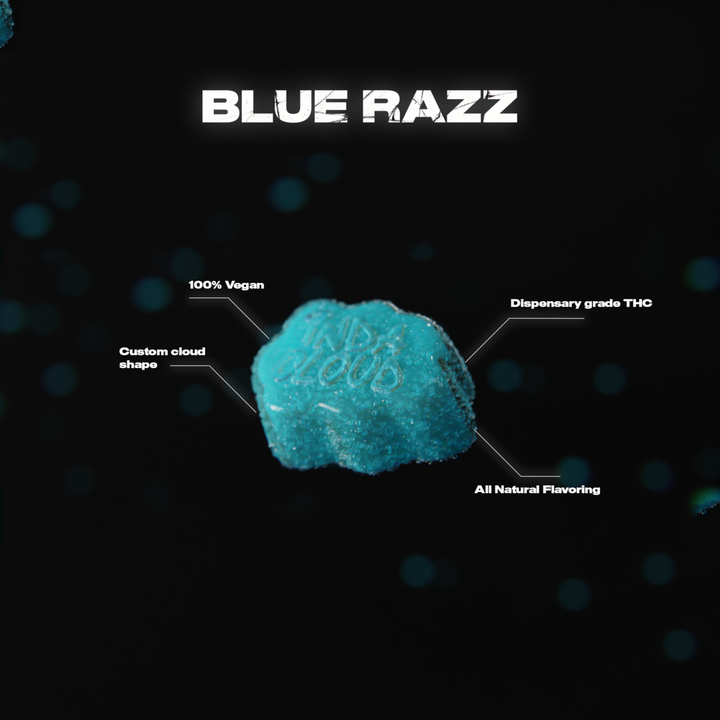 Blue Razz Delta 8 Vegan Gummies 500MG