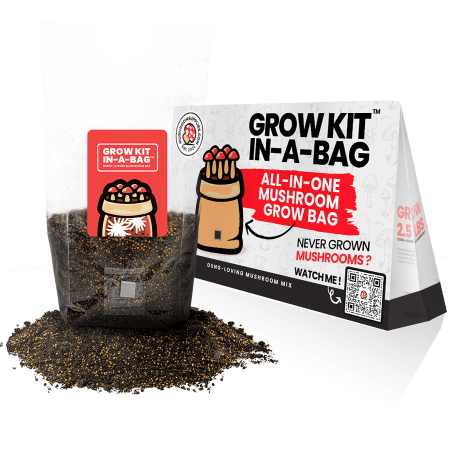 Mushroom Grow Kit in a Bag™